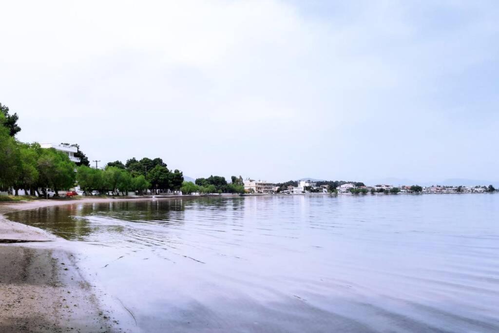 Πολυτελές Διαμέρισμα 2 Χαλκίδα-Παραλία Αυλίδος Paralia Avlidhos Eksteriør bilde