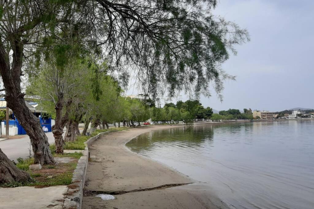 Πολυτελές Διαμέρισμα 2 Χαλκίδα-Παραλία Αυλίδος Paralia Avlidhos Eksteriør bilde